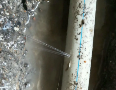 三明市测漏水哪家好