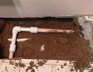 三明市测漏水哪家好