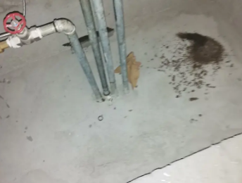 三明市卫生间测漏水价格明细