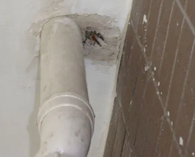 三明市漏水检测哪家好